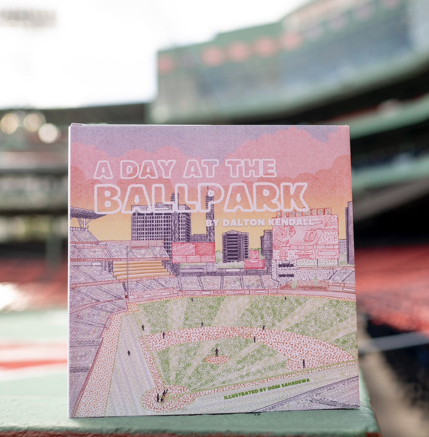 A Day at the Ballpark