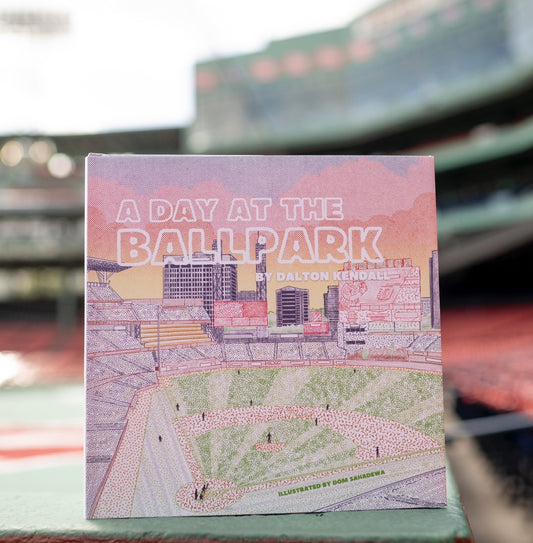 A Day at the Ballpark